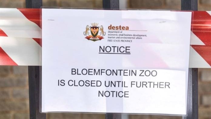 Hooggeregshof beslis Bloemfonteinse dieretuin moet aan voorwaardes voldoen | News Article