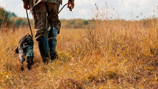 Boer wat honde skiet se saak heropen | News Article