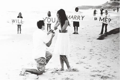 Weird Wide Web - The perfect proposal ruined | News Article