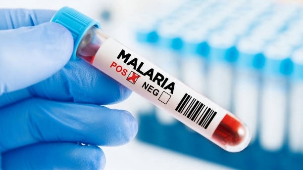 FS health urges public to seek medical attention if malaria symptoms arise FS health urges public to seek medical attention if malaria symptoms arise | News Article