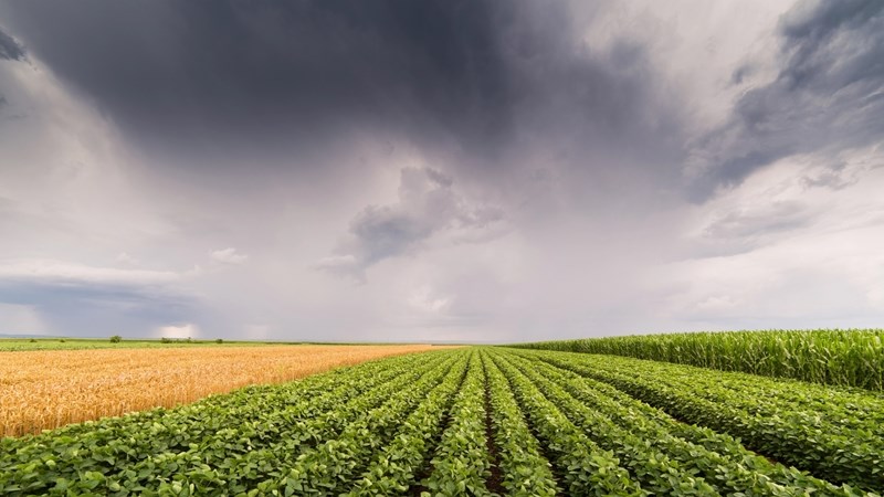 Eerste somerreën binnekort verwag | News Article