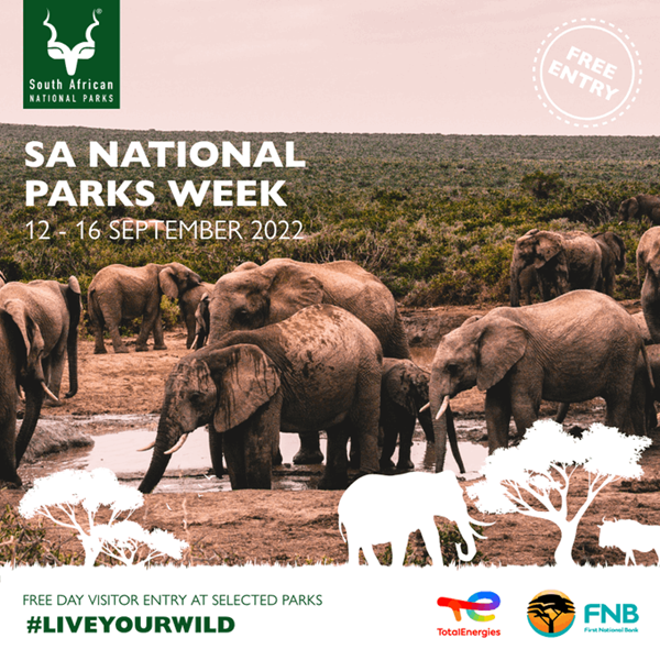 Northern Cape Government expects tourism to pick up post #Covid19 | News Article