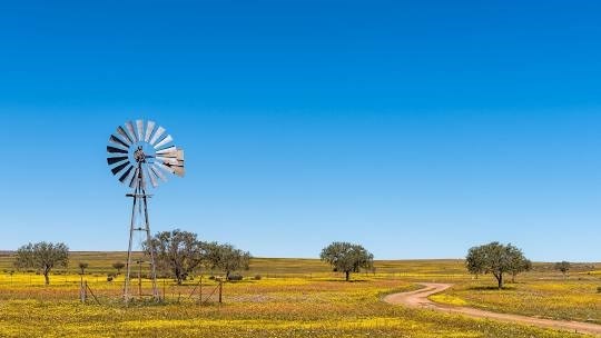 Hantam-Karoo het tweede skoonste lug ter wêreld | News Article