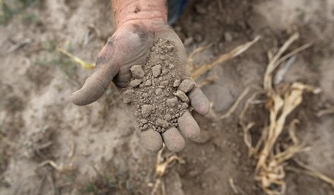 Severe drought in eastern Free State strains farmers, residents | News Article