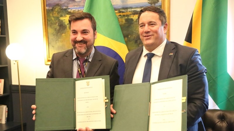 Suid-Afrika versterk landbouvennootskappe met Brasilië en Japan Suid-Afrika versterk landbouvennootskappe met Brasilië en Japan | News Article