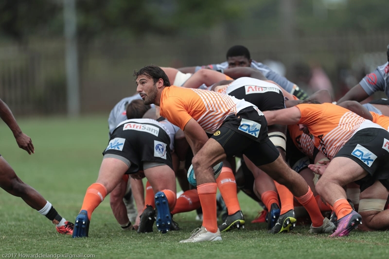  Cheetahs ready for Europe  | News Article