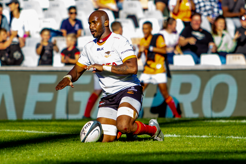 Cheetahs welcome stalwarts back from injury | News Article