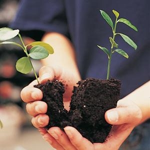 Harvesting season for #UFS students | News Article