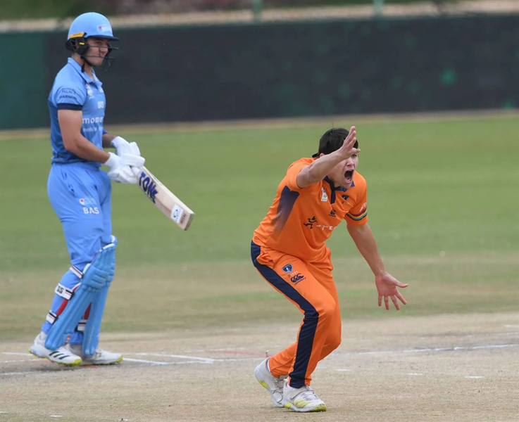 Titans and Dolphins into T20 Challenge final | News Article
