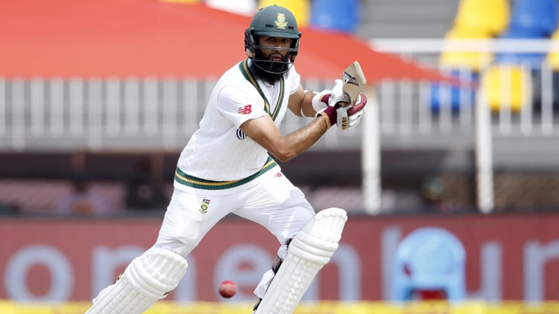 Amla appointed as Lions batting coach | News Article