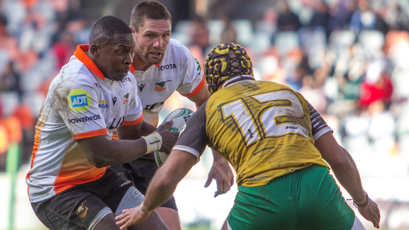 Cheetahs shift focus to Griquas after securing SA Cup semi-final spot | News Article