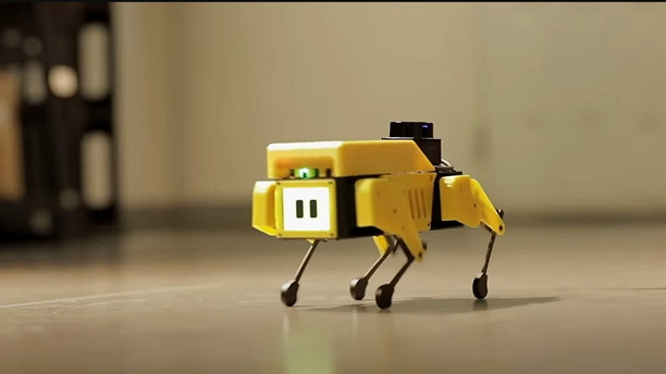 Weird Wide Web - Yes, you can now build your own puppy Weird Wide Web - Yes, you can now build your own puppy | News Article