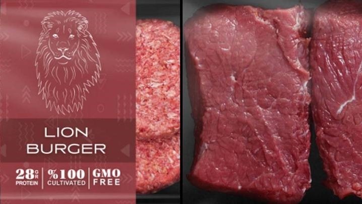 Weird Wide Web - Lab-grown meat Weird Wide Web - Lab-grown meat | News Article