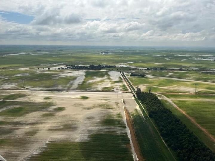 Agri podcast: FS Farmlands drenched  | News Article