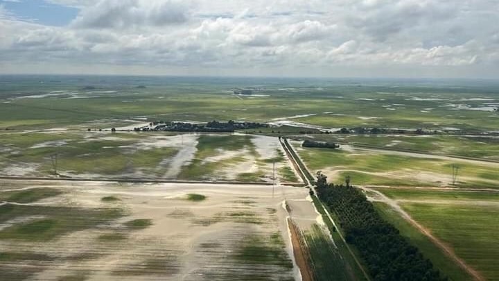 Agri podcast: FS Farmlands drenched  | News Article