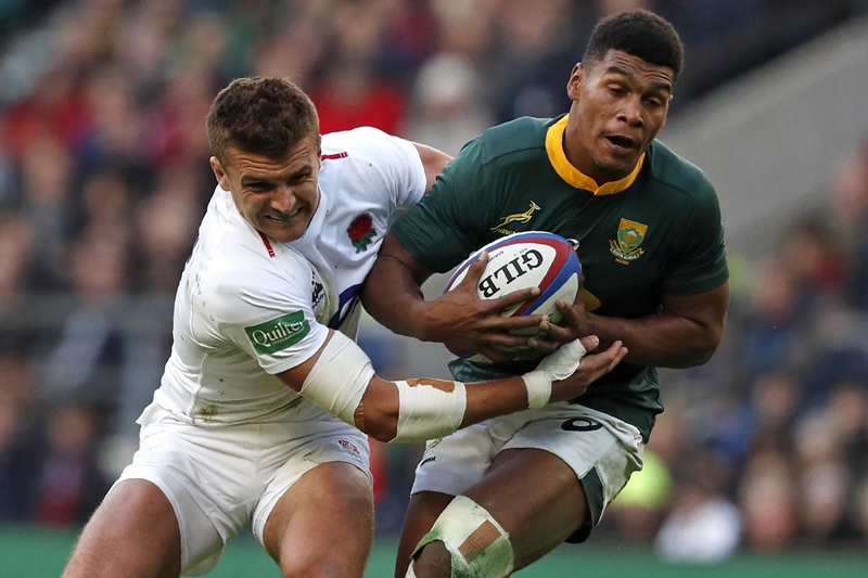 It's always a massive honour - Willemse | News Article