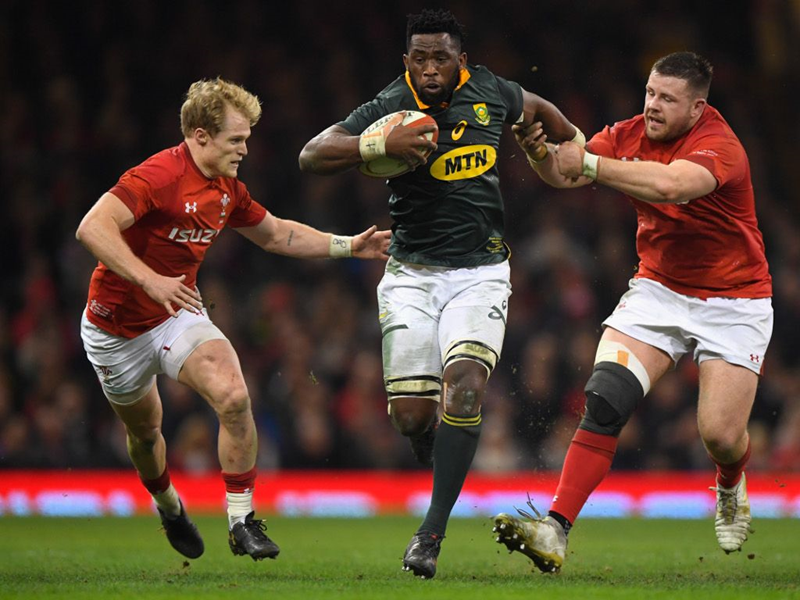 They need all of our attention and focus - Kolisi | News Article
