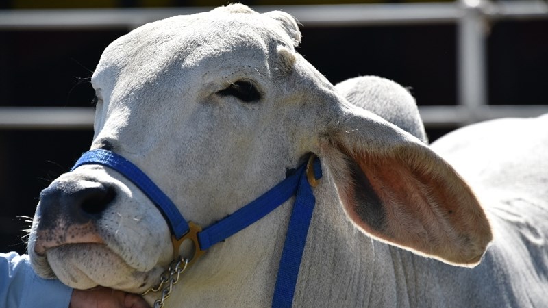 Hier is van jou hoof landboustories op OFM Hier is van jou hoof landboustories op OFM | News Article