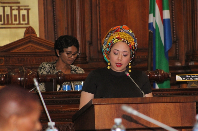 ‘FS has been in recession since 2018’ – FS Finance MEC   | News Article