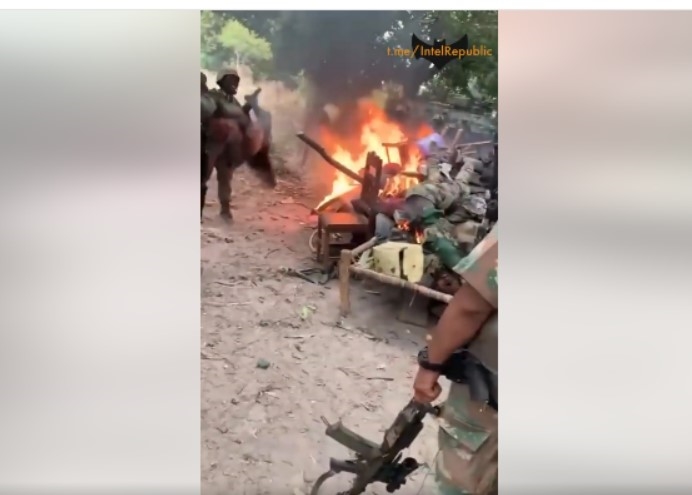 Amnesty International condemns Mozambique's 'forgotten war' | News Article