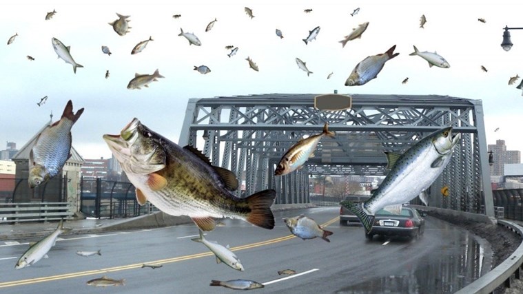 Weird Wide Web - It's raining fish in Texas! | News Article