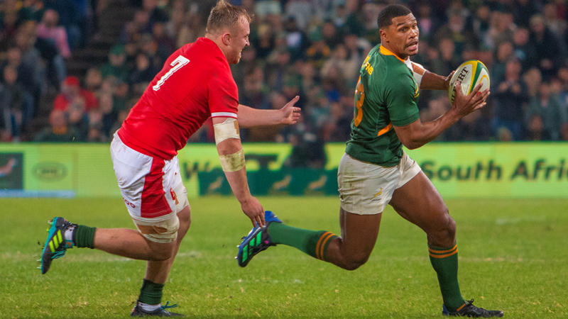 Willemse set for 100th Stormers cap as Harris bids farewell Willemse set for 100th Stormers cap as Harris bids farewell | News Article