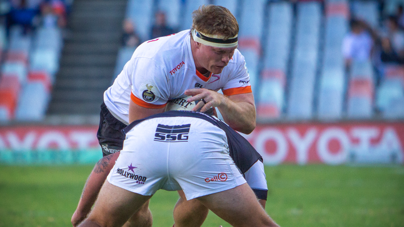Cheetahs to fine-tune against the Griffons Cheetahs to fine-tune against the Griffons | News Article
