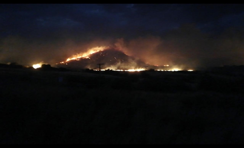 FS farmers urged to be cautious following veldfires | News Article