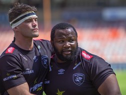 Sharks receive welcome Springbok boost ahead of Lions derby | News Article