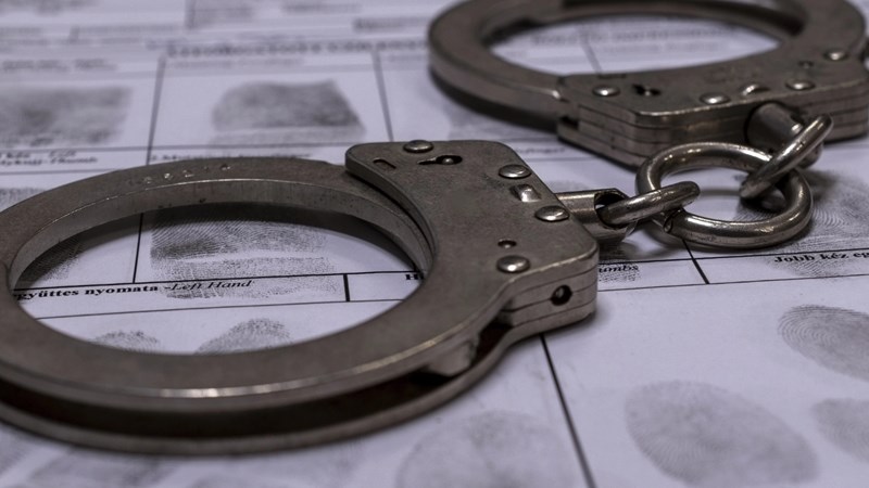 Vrystaat Landbou eis geregtigheid ná wrede slagting van vee by Wepener | News Article