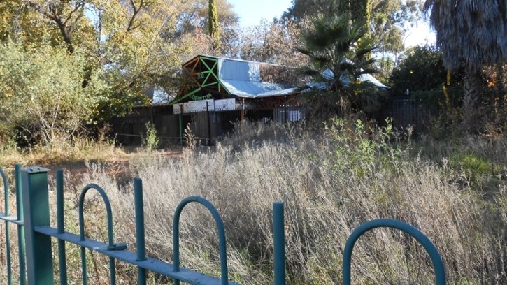 AfriForum prevents homeless invasion at Bloemfontein Zoo, buffalo slaughtered AfriForum prevents homeless invasion at Bloemfontein Zoo, buffalo slaughtered | News Article