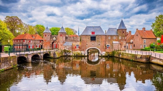 Weird Wide Web – Amsterdam stel trappe vir katte bekend Weird Wide Web – Amsterdam stel trappe vir katte bekend | News Article