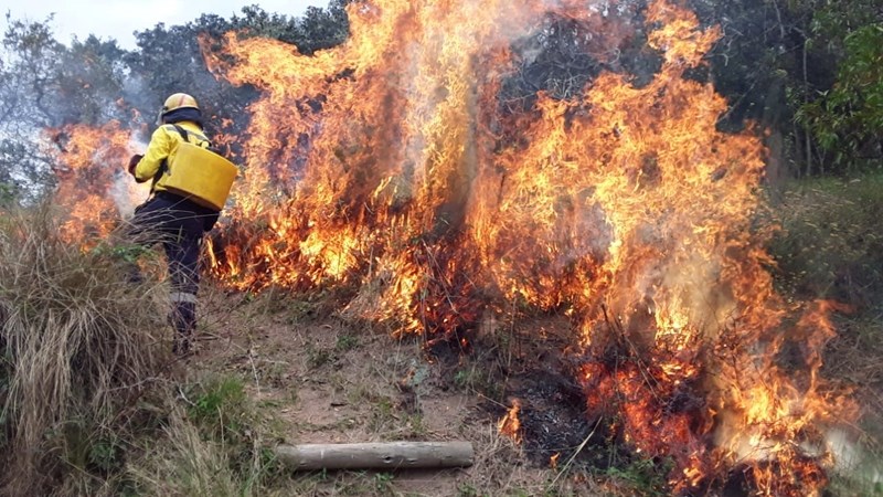 North West firefighters return after Canadian wildfires | News Article