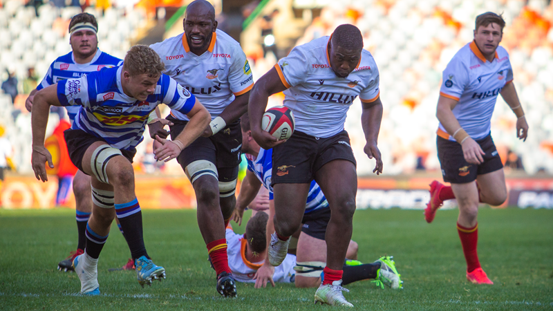 Cheetahs too good for Western Province Cheetahs too good for Western Province | News Article