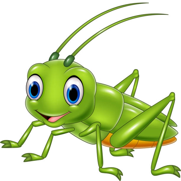 Weird Wide Web - Locusts help in cancer treatment breakthrough! | News Article