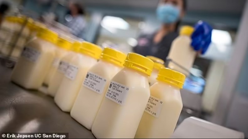 Institute tests breast milk as treatment for various diseases Institute tests breast milk as treatment for various diseases | News Article