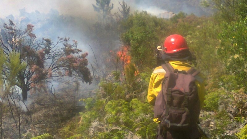 Landbounuus-podcast: VS Landbou skenk voorraad aan boere Landbounuus-podcast: VS Landbou skenk voorraad aan boere | News Article