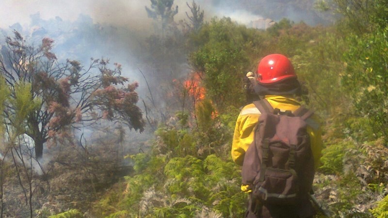 Landbounuus-podcast: VS Landbou skenk voorraad aan boere | News Article