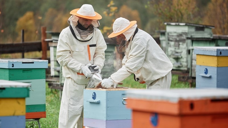 Streekbyeenkomste oor byeboerdery in Noordwes gehou Streekbyeenkomste oor byeboerdery in Noordwes gehou | News Article