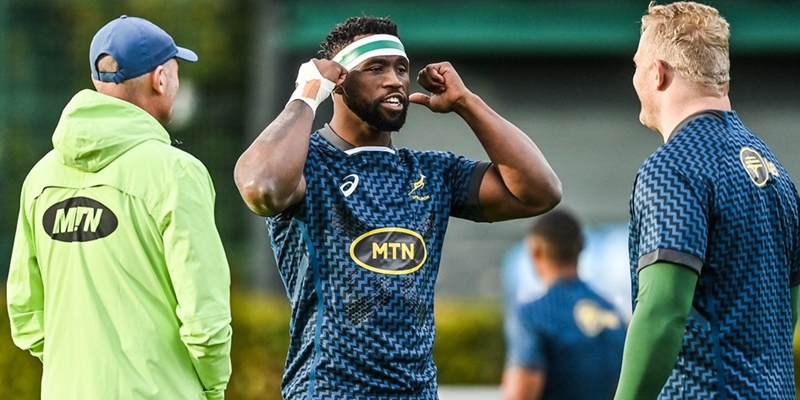 'Our focus is on trying to beat Italy' - Kolisi | News Article