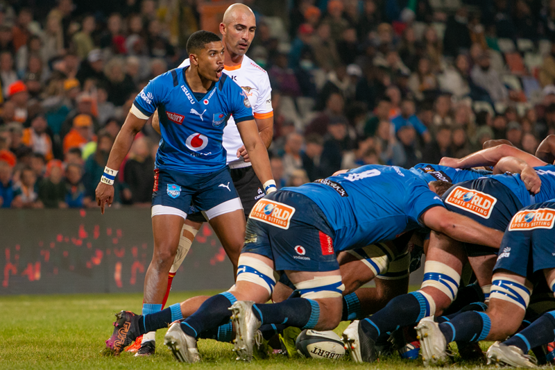 Cheetahs to tread lightly for dangerous Bulls | News Article