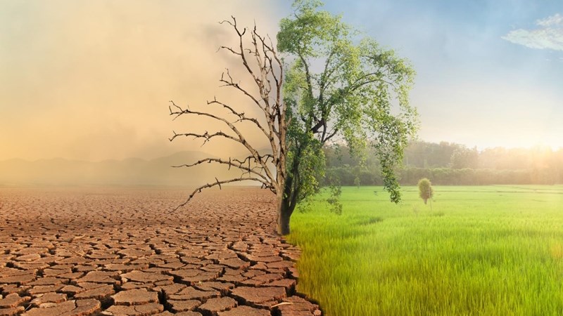 Weird Wide Web - Klimaatsverandering maak 'zombievirusse' wakker Weird Wide Web - Klimaatsverandering maak 'zombievirusse' wakker | News Article