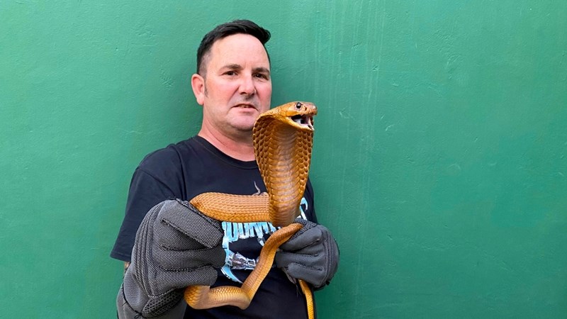 Slangvanger sluit inbreker in kamer met reptiele toe Slangvanger sluit inbreker in kamer met reptiele toe | News Article
