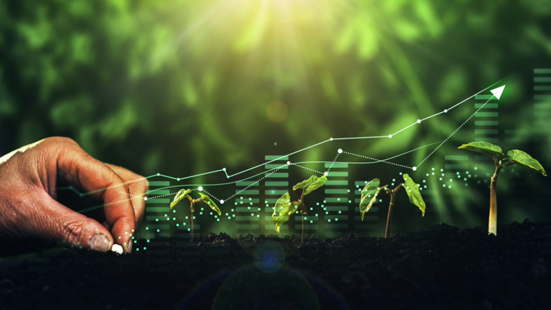 Agriculture maintains growth momentum in Q2 despite trade and disease challenges Agriculture maintains growth momentum in Q2 despite trade and disease challenges | News Article