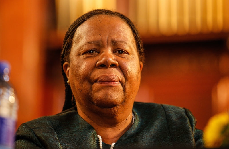 Pandor heet Suid-Afrikaners uit Soedan welkom | News Article
