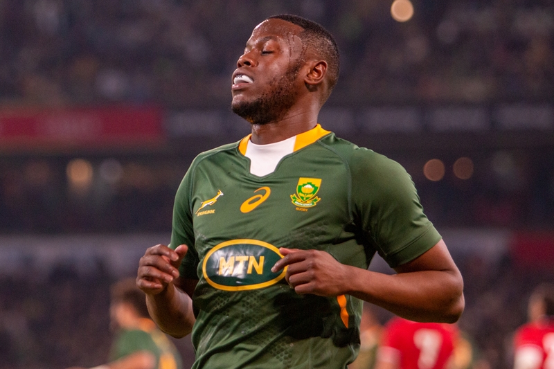 SA Select XV to face Munster in European tour match | News Article