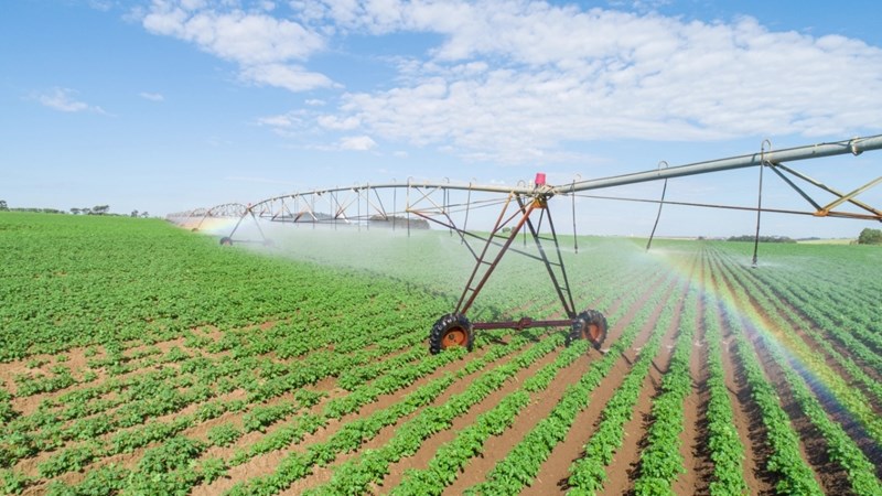 #WaterWednesday: We need more crop per drop | News Article