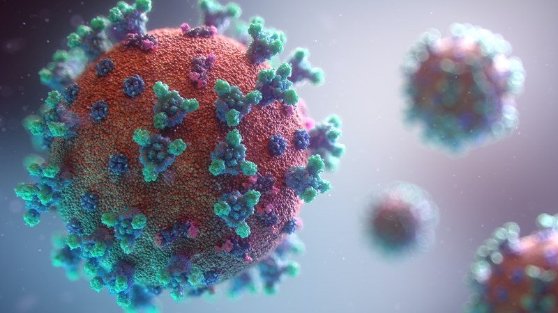 #CoronavirusFS: Vrystaat voorbereid vir 4de golf | News Article