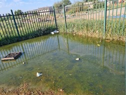More funds can stop Petrusburg sewerage crisis – DA  | News Article