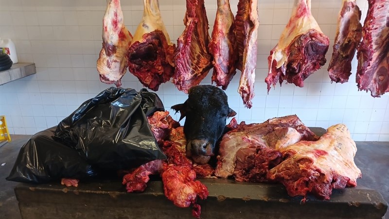 Northern Cape police urge farmers to implement safety tips to prevent stock theft Northern Cape police urge farmers to implement safety tips to prevent stock theft | News Article